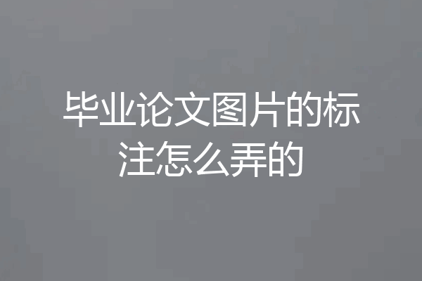 毕业论文图片的标注怎么弄的