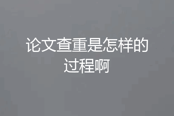 论文查重是怎样的过程啊