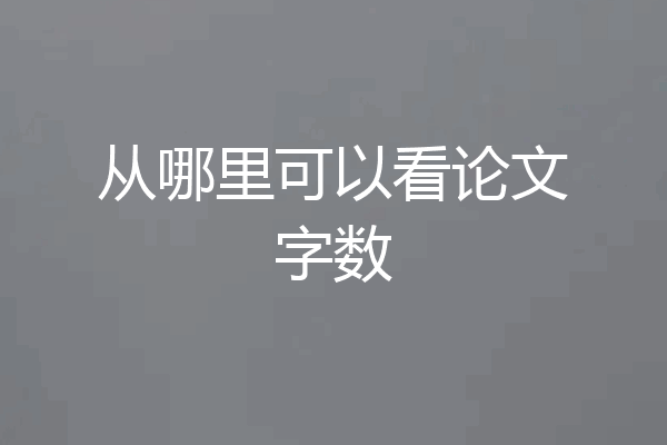 从哪里可以看论文字数