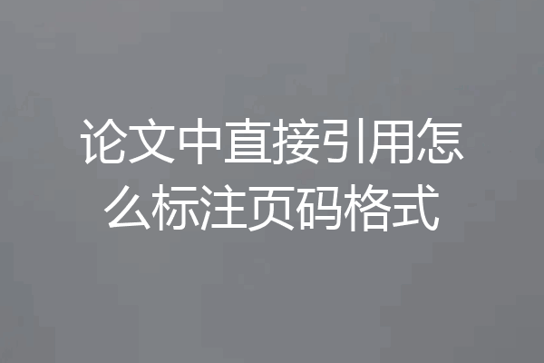 论文中直接引用怎么标注页码格式