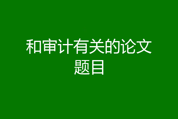 和审计有关的论文题目