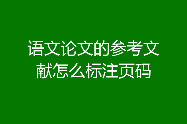 语文论文的参考文献怎么标注页码