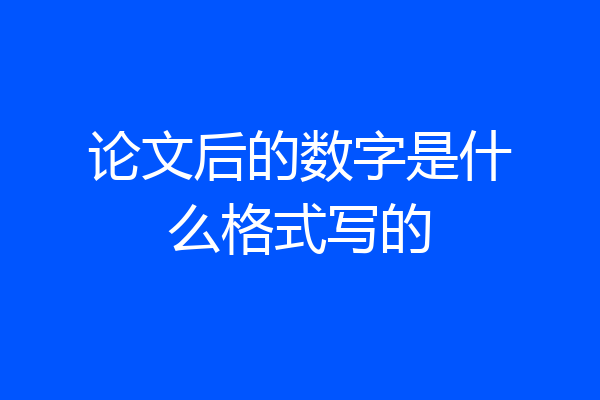 论文后的数字是什么格式写的