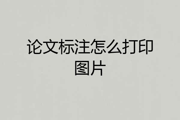 论文标注怎么打印图片