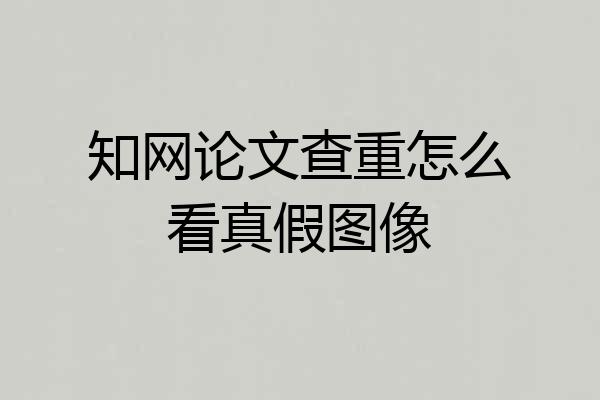 知网论文查重怎么看真假图像