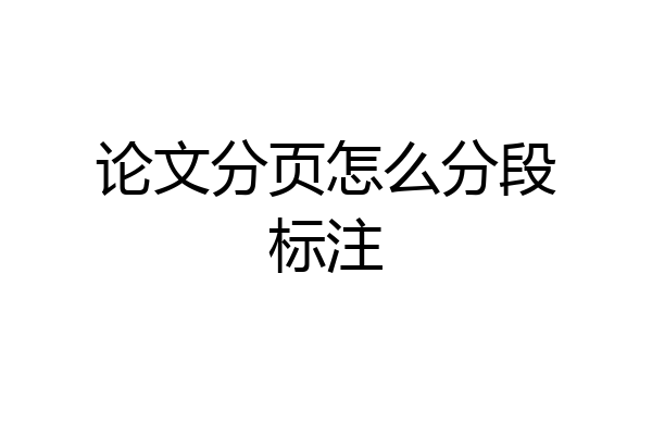 论文分页怎么分段标注
