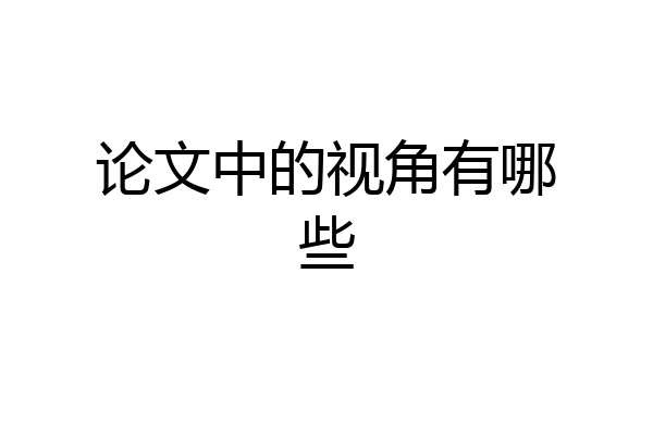 论文中的视角有哪些