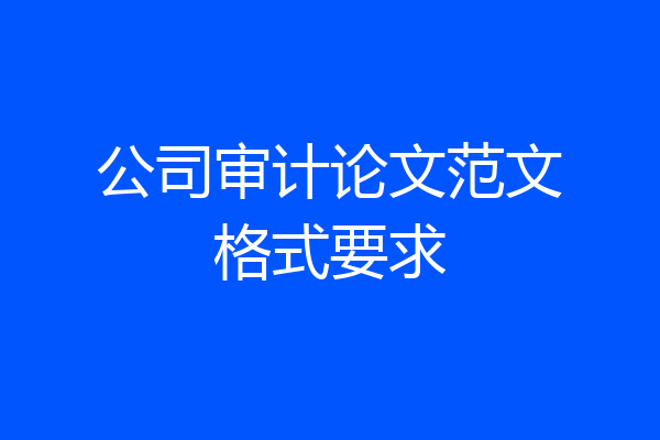 公司审计论文范文格式要求