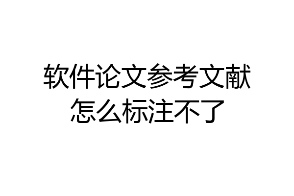 软件论文参考文献怎么标注不了