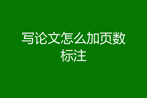 写论文怎么加页数标注