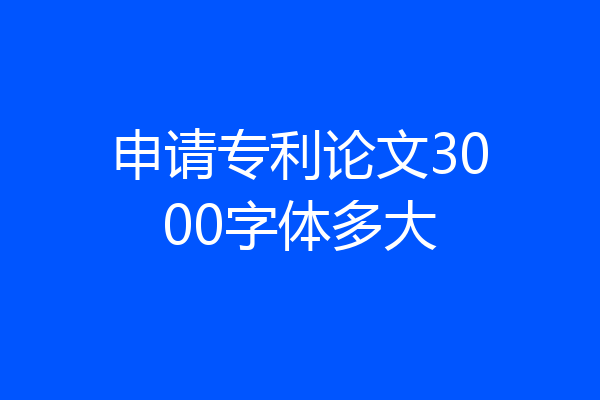 申请专利论文3000字体多大