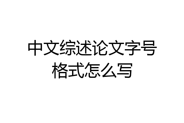 中文综述论文字号格式怎么写