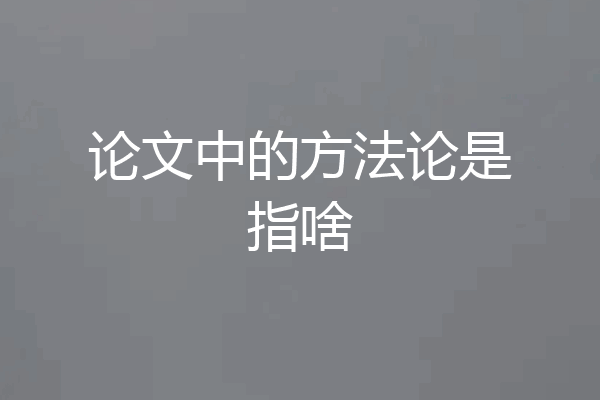 论文中的方法论是指啥