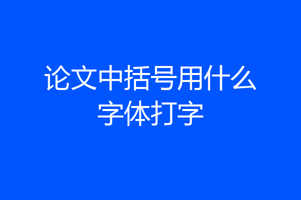 论文中括号用什么字体打字