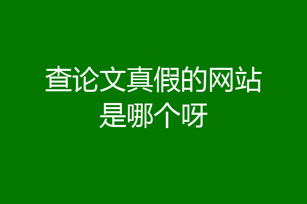 查论文真假的网站是哪个呀