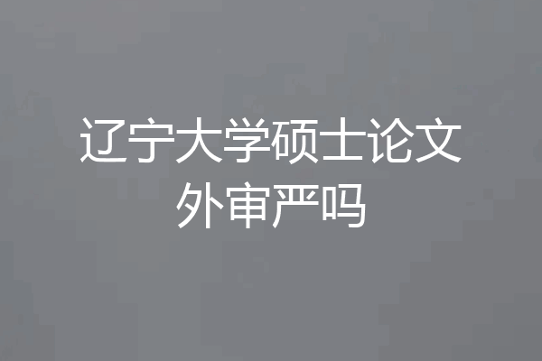 辽宁大学硕士论文外审严吗