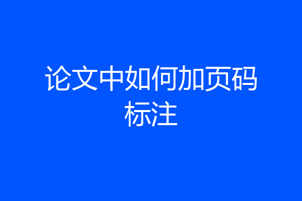 论文中如何加页码标注