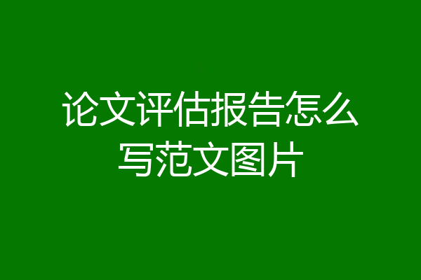 论文评估报告怎么写范文图片