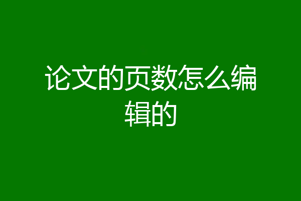 论文的页数怎么编辑的