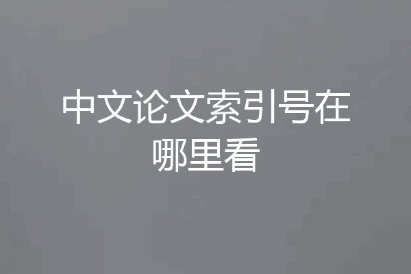 中文论文索引号在哪里看