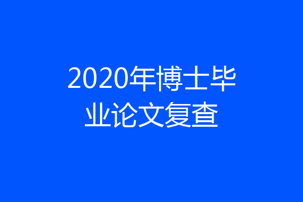 2020年博士毕业论文复查