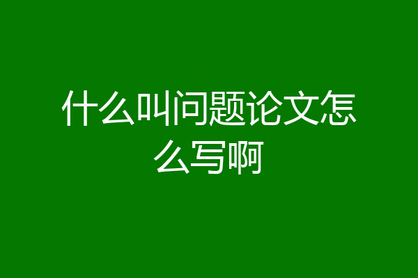 什么叫问题论文怎么写啊