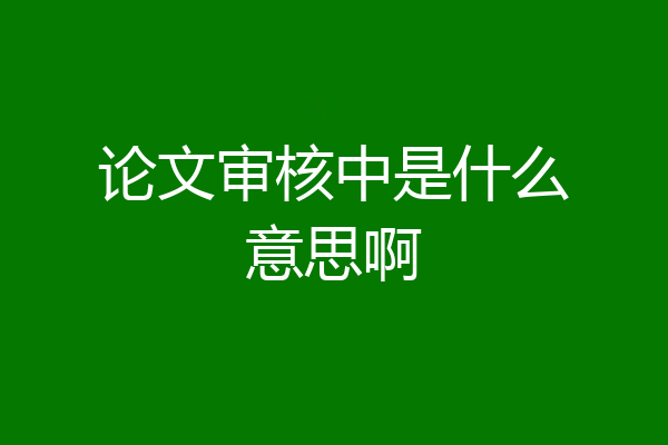 论文审核中是什么意思啊
