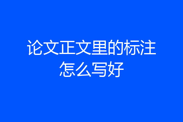 论文正文里的标注怎么写好
