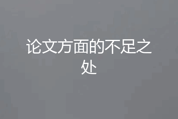 论文方面的不足之处