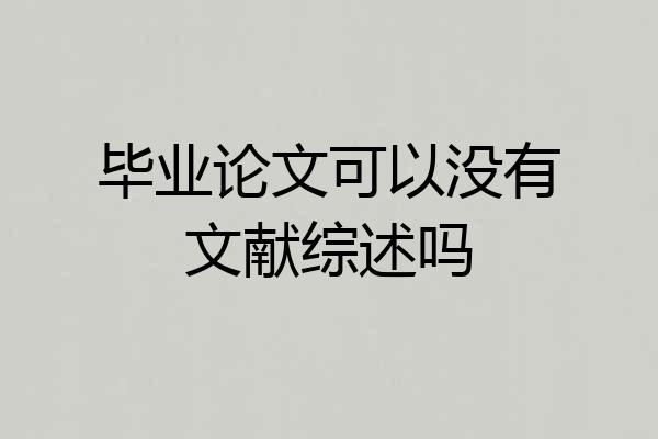 毕业论文可以没有文献综述吗