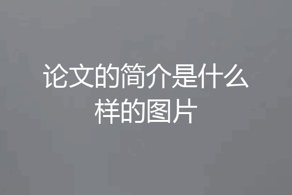 论文的简介是什么样的图片