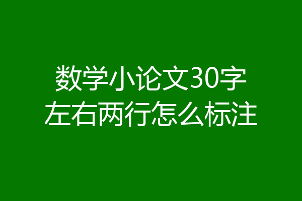 数学小论文30字左右两行怎么标注