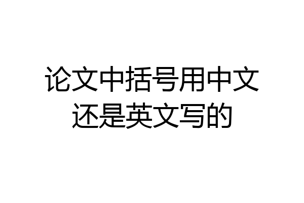 论文中括号用中文还是英文写的