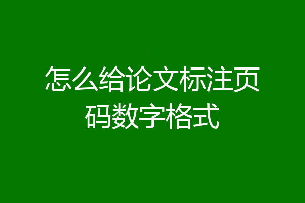 怎么给论文标注页码数字格式
