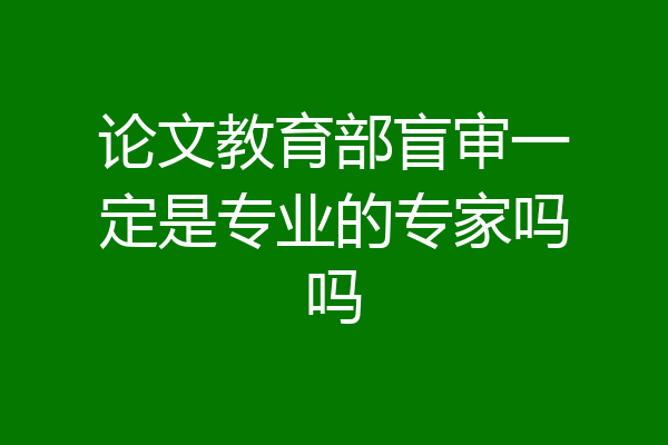 论文教育部盲审一定是专业的专家吗吗