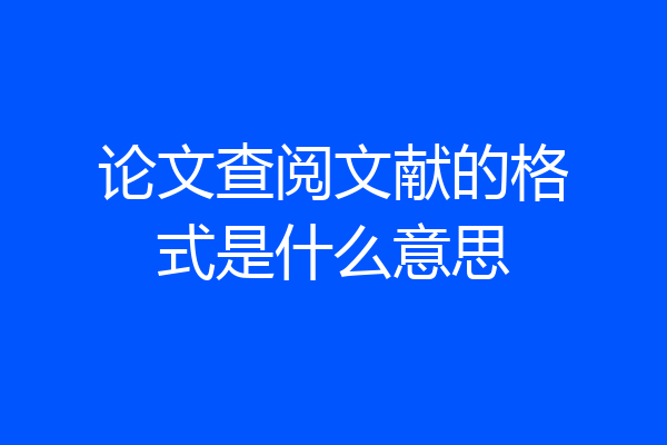 论文查阅文献的格式是什么意思