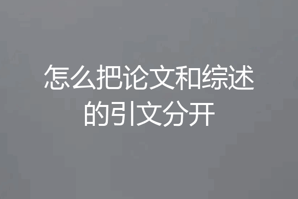 怎么把论文和综述的引文分开