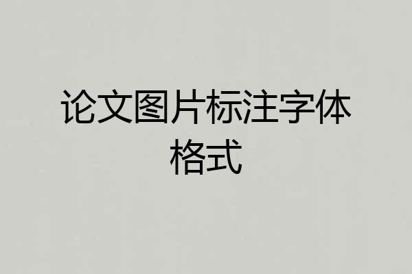 论文图片标注字体格式