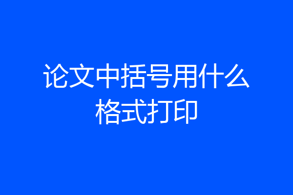 论文中括号用什么格式打印