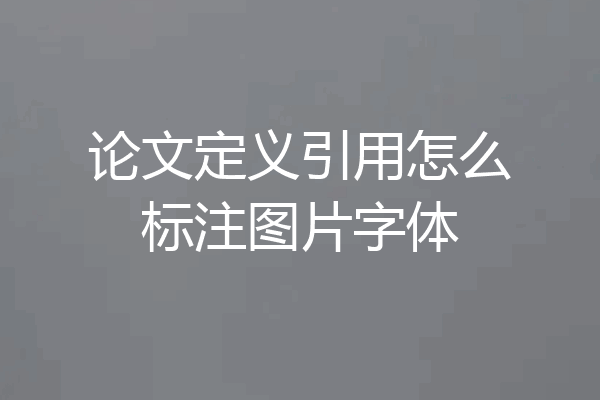 论文定义引用怎么标注图片字体