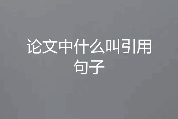 论文中什么叫引用句子