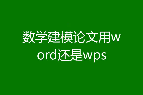 数学建模论文用word还是wps