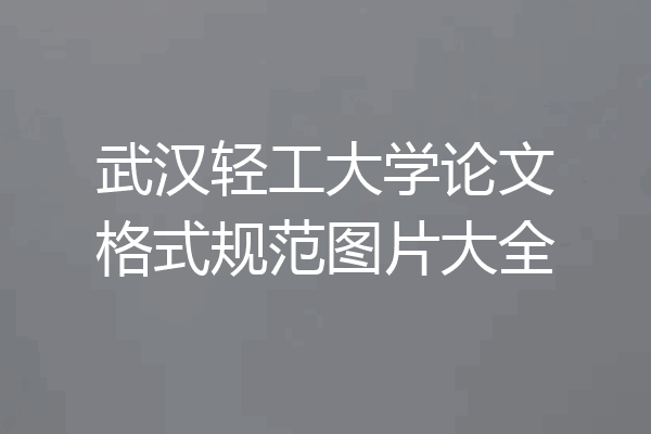 武汉轻工大学论文格式规范图片大全