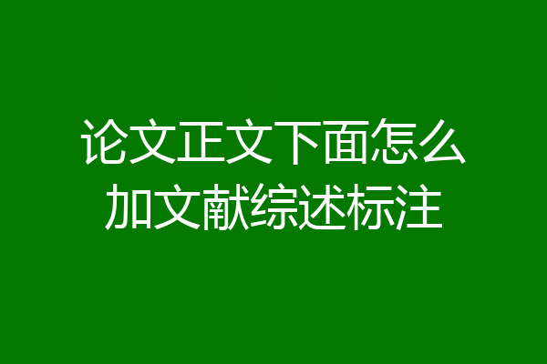 论文正文下面怎么加文献综述标注