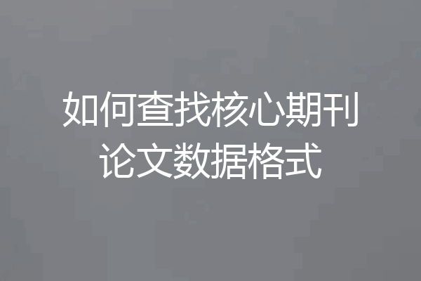 如何查找核心期刊论文数据格式