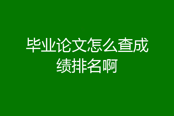 毕业论文怎么查成绩排名啊
