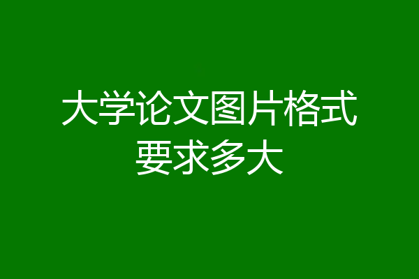 大学论文图片格式要求多大