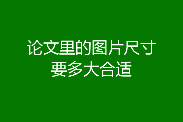 论文里的图片尺寸要多大合适