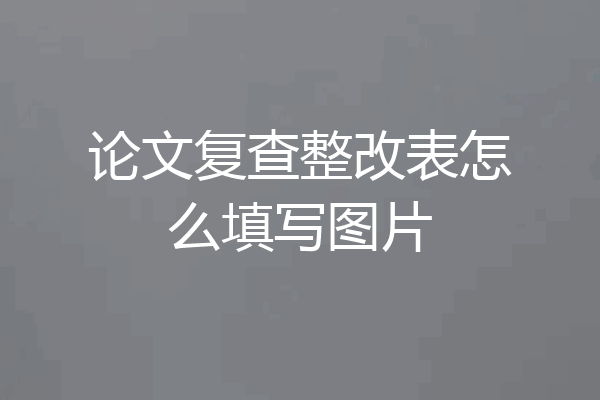 论文复查整改表怎么填写图片
