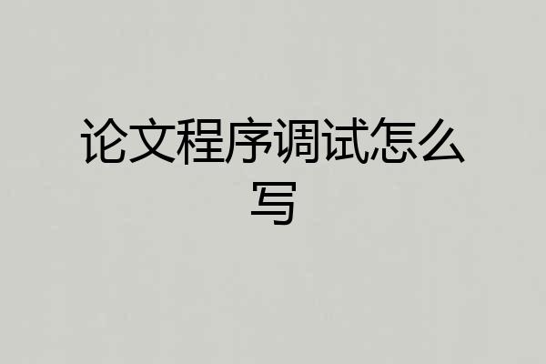 论文程序调试怎么写